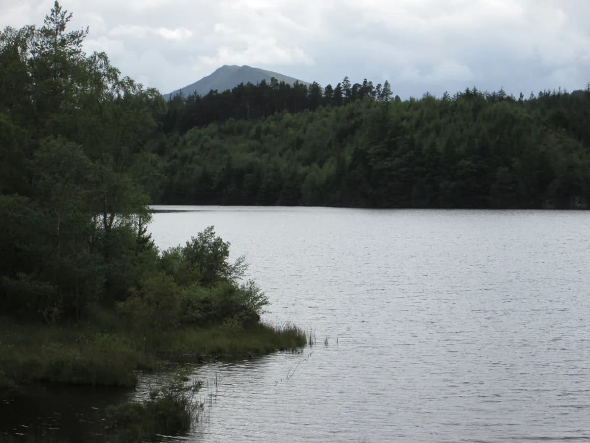 View across Llyn Bodgynydd lake toward forested hills with Moel Siabod mountain in the background under a cloudy sky.