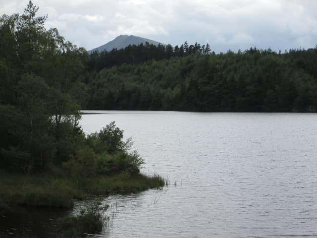 View across Llyn Bodgynydd lake toward forested hills with Moel Siabod mountain in the background under a cloudy sky.
