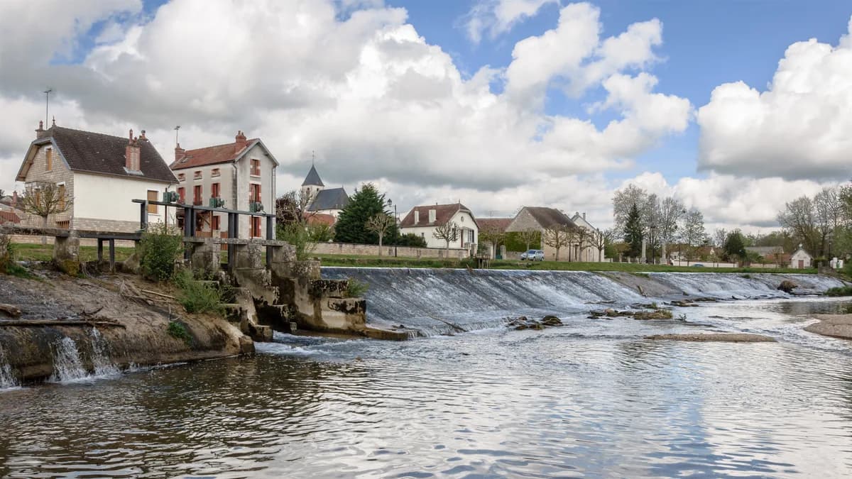 Armançon (Upper Trout Reach) — Armançon Nuits