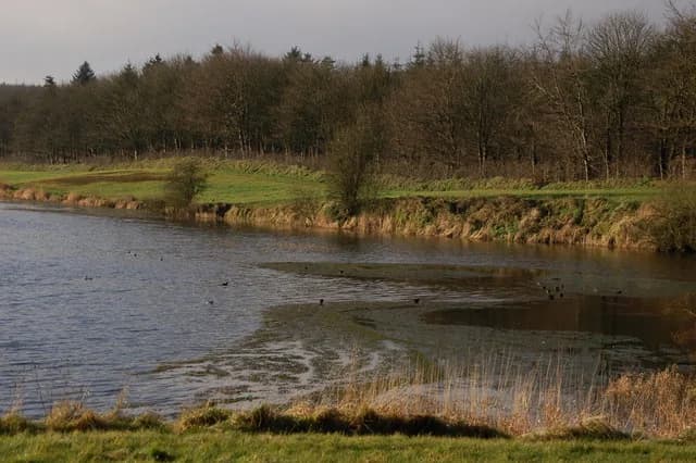 North Woodburn Reservoir in Woodburn Forest near Carrickfergus, Northern Ireland.