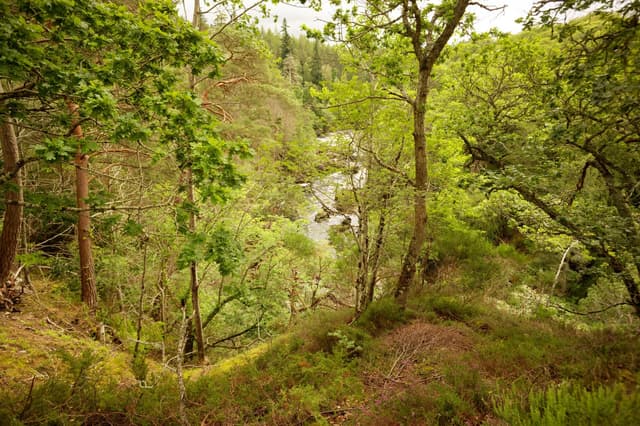 Looking downriver towards the deep Sluie Pool, gorge walls rising on both sides of the River Findhorn.