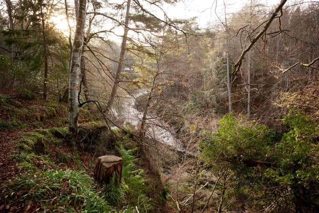 The River Findhorn flowing through open woodland beside the Logie Estate in late-season colour.