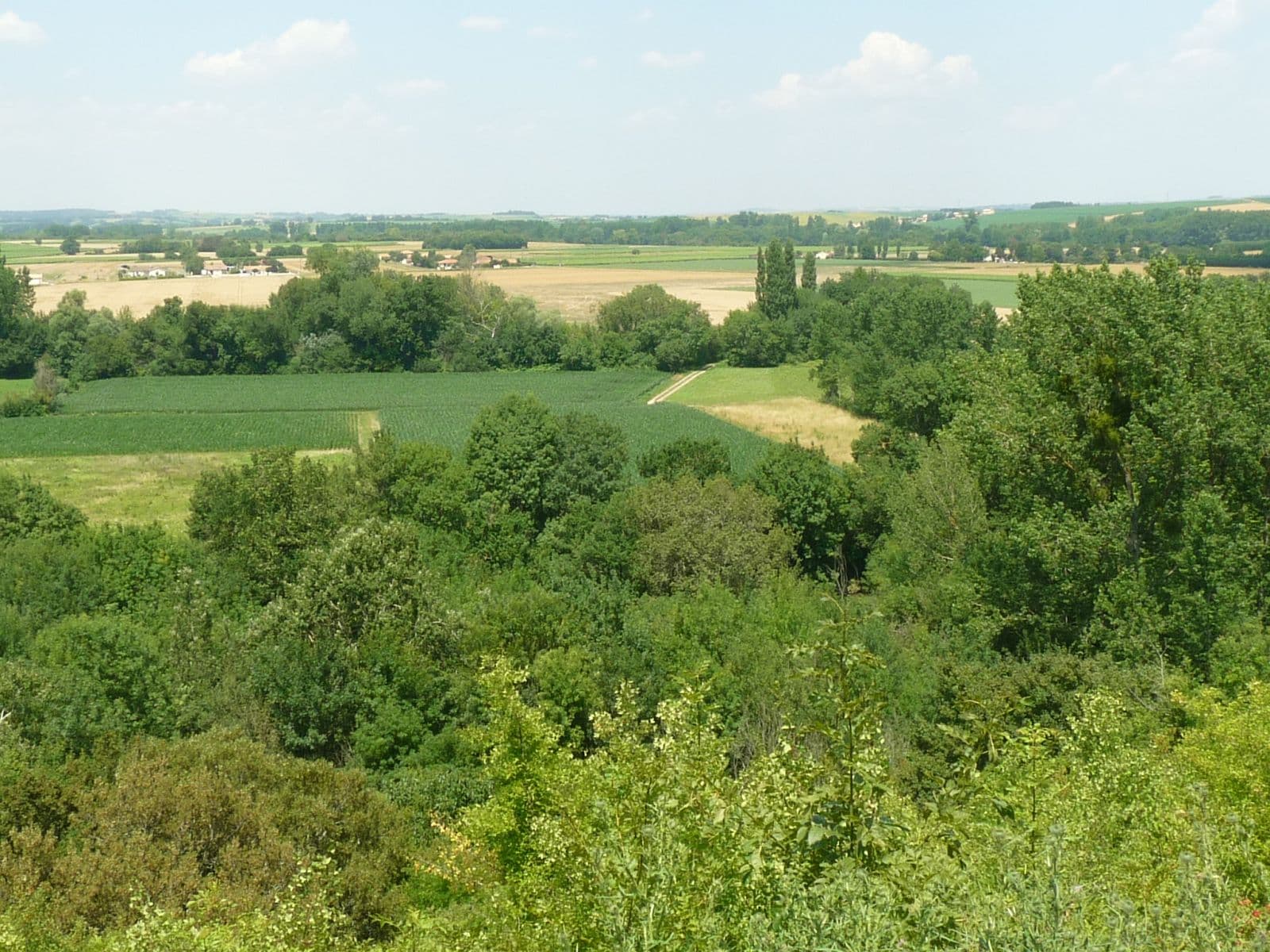 Charente vindelle
