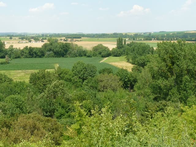 Charente vindelle
