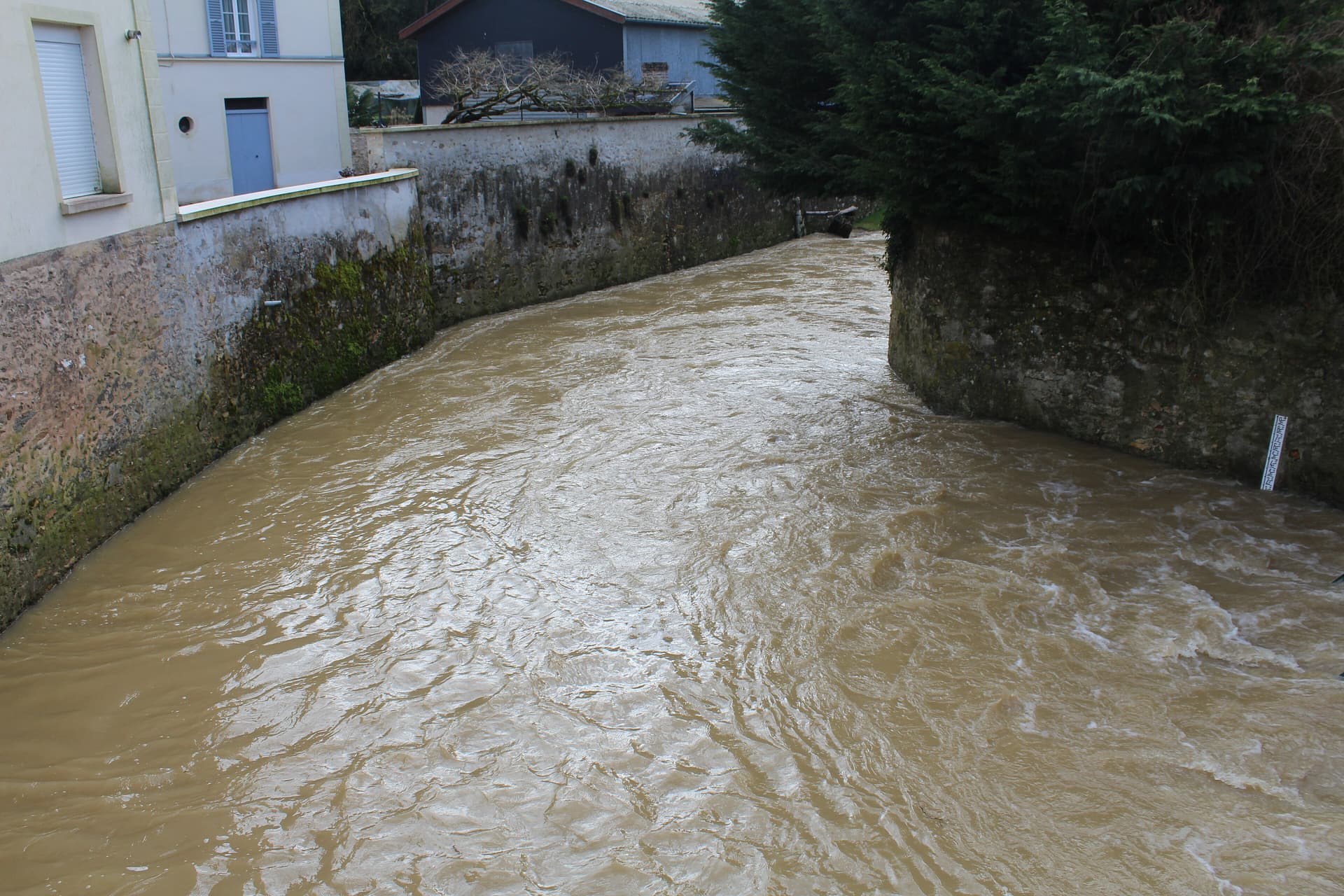 Grand Morin Ferté Gaucher 1