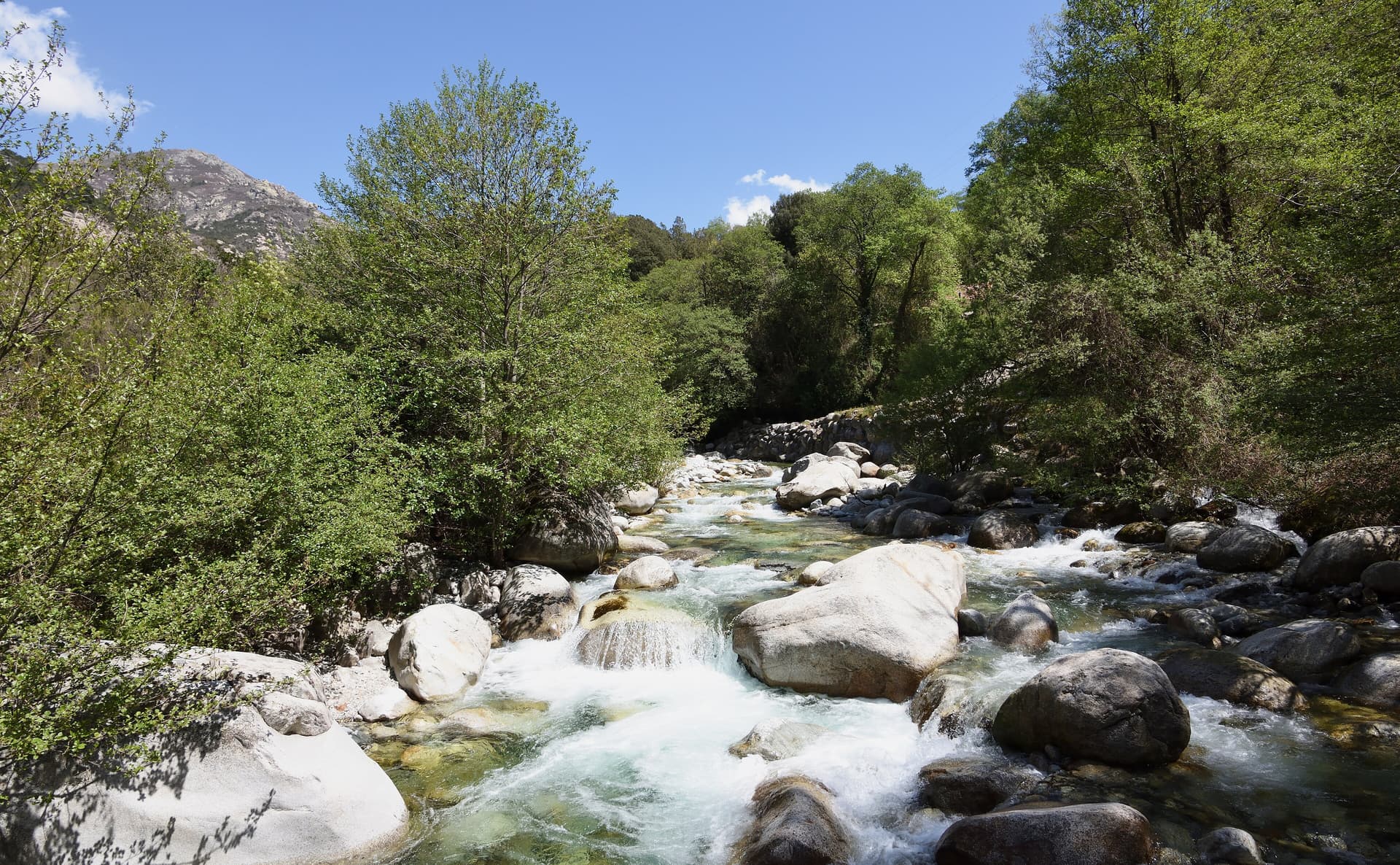 BocognanoGravona 2018-04