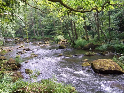 Gorges de la Rouvre