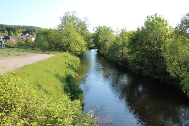 La Vologne à Lépanges-sur-Vologne en mai 2014 - 1