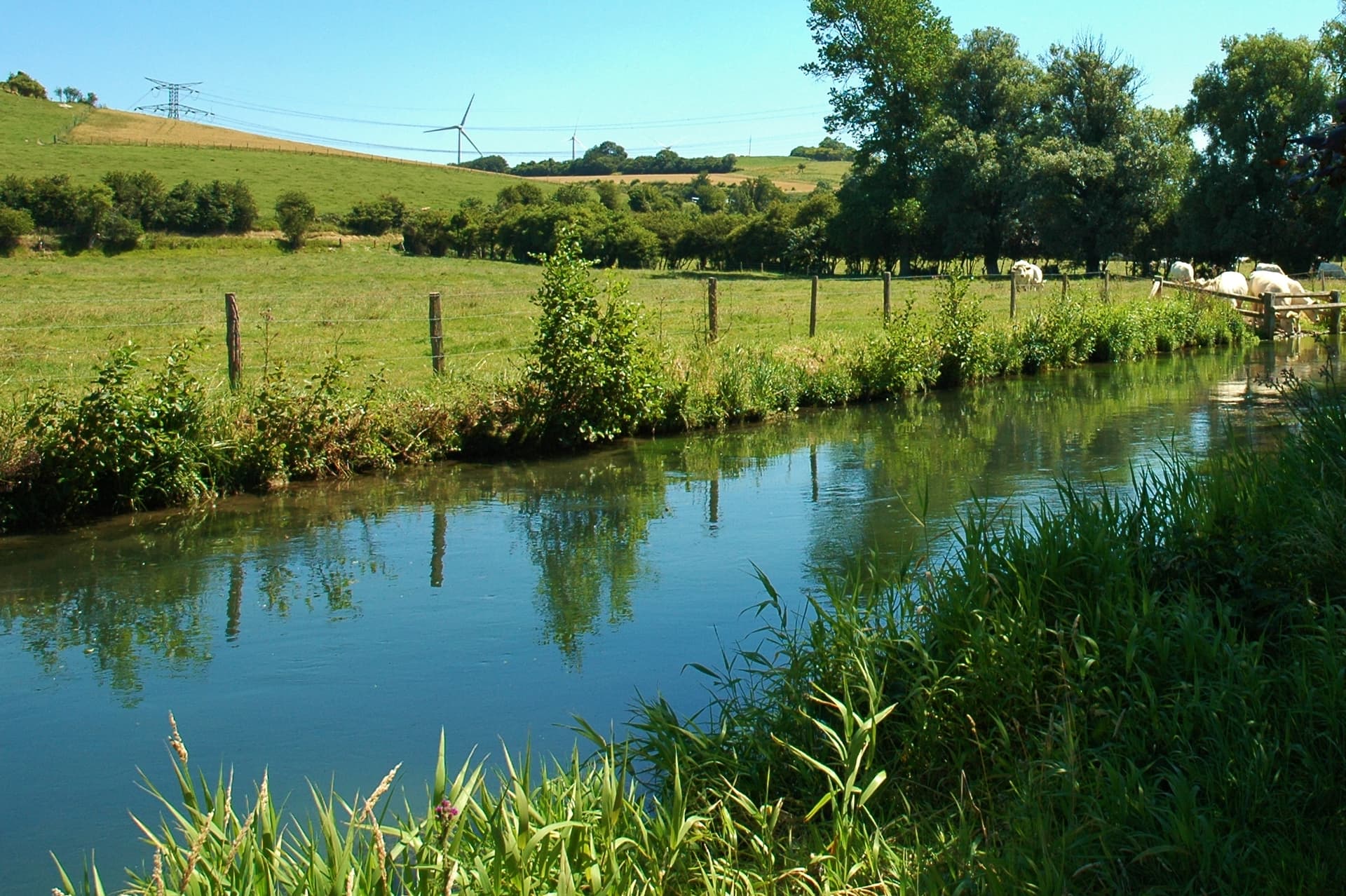 Yères à Criel