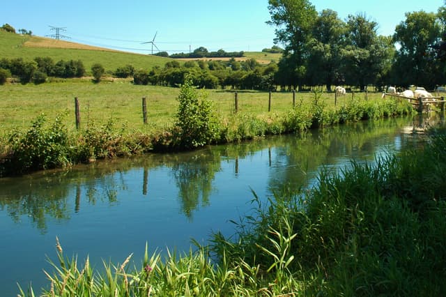 Yères à Criel