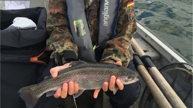 Grafham Rainbow