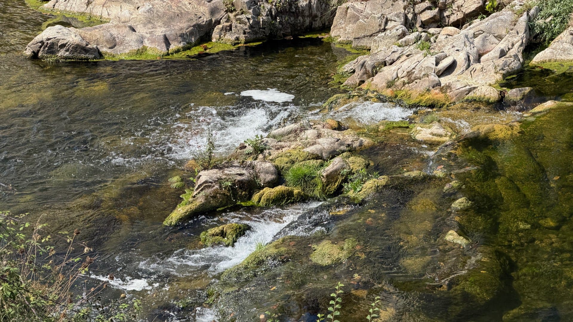 Río Güeña fishing venue photo