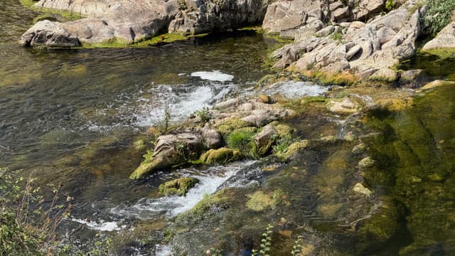 Cangas de Onis