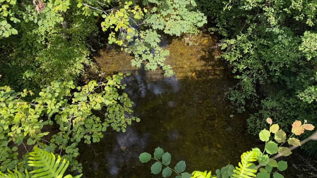 Upstream of Cangas de Onis