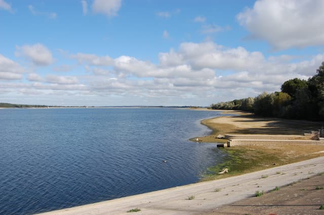 Hanningfield Reservoir viewed from the Hawkswood Road Dam showing open water and the wooded shoreline.