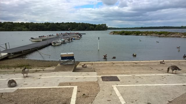 The jetty and harbour area at Hanningfield Reservoir with open water beyond.