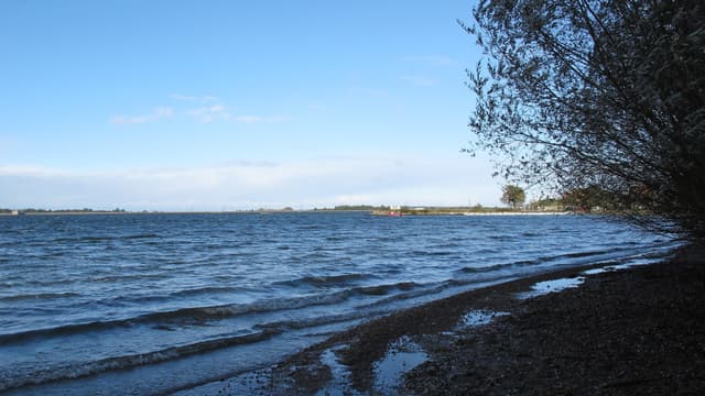 Open water of Hanningfield Reservoir whipped into waves on a windy autumn day, flat Essex landscape beyond.