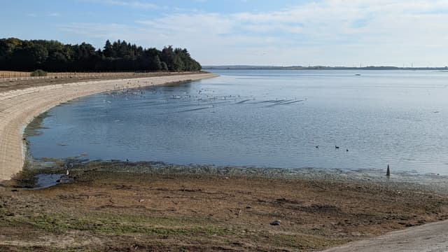 Hanningfield Reservoir on a summer day showing the open water surface and surrounding landscape.