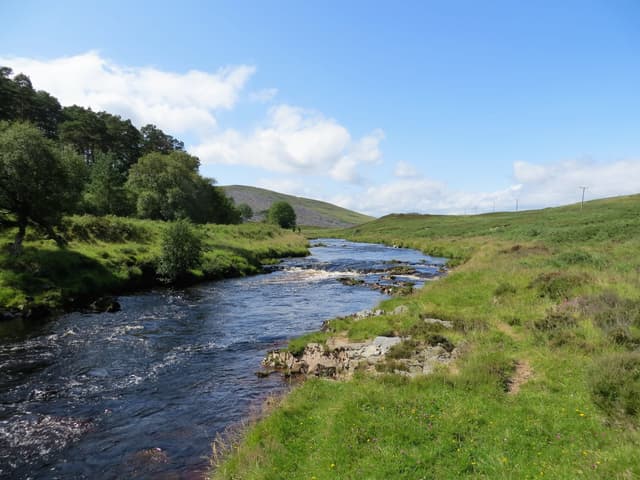 The River Helmsdale winding through mature woodland and estate grounds in the Strath of Kildonan in summer.