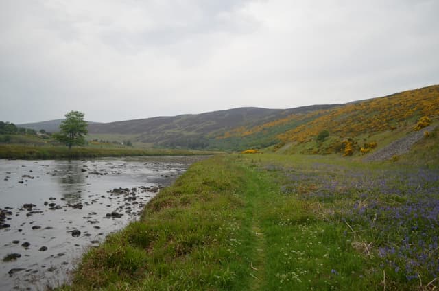 The River Helmsdale on its lower run approaching Helmsdale village, open moorland hills rising beyond.