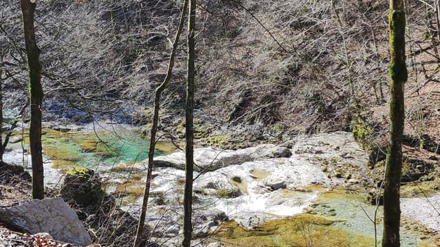 Wide landscape view of the Idrijca upstream from Idrijska Bela, Slovenia.