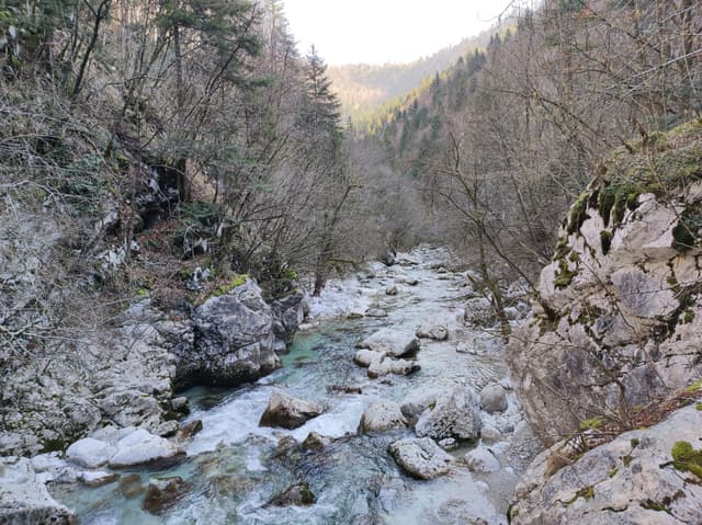 The Idrijca running through the Strug gorge with steep rocky banks.