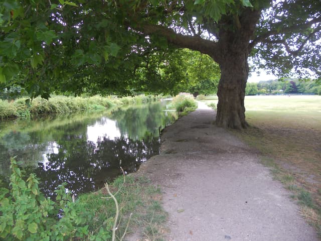 The River Itchen flowing through Winchester, Hampshire, in summer.