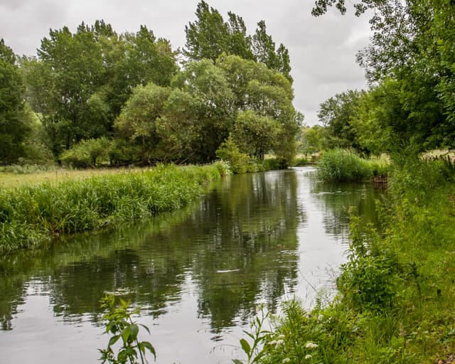 The River Itchen flowing toward Lord Grey's Bridge at Itchen Abbas, clear chalkstream water in summer.