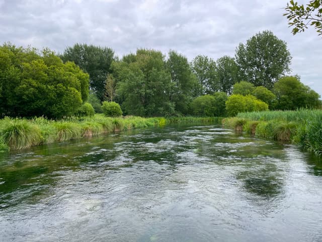 The River Itchen at Martyr Worthy in the Itchen Valley in summer.