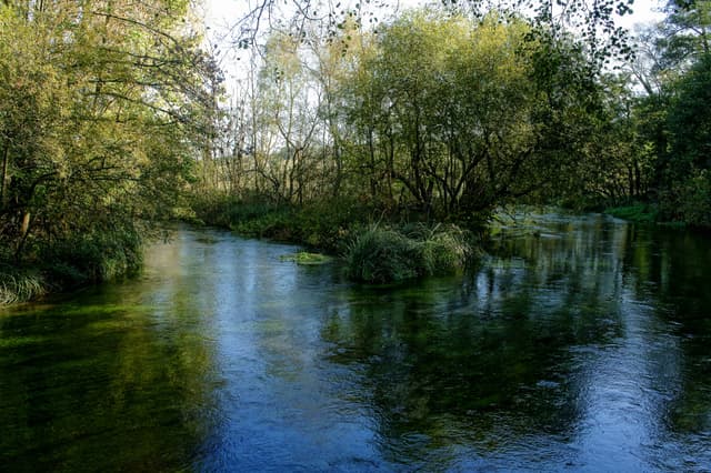 An upstream view of the River Itchen near Ovington with a small mid-channel island.