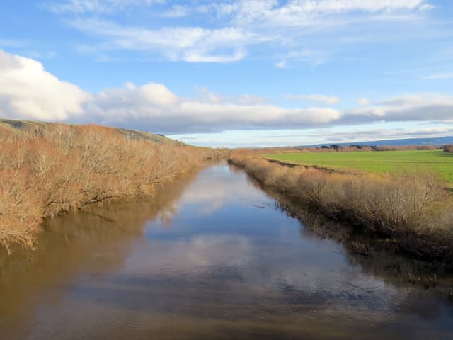 Taieri at Allanton