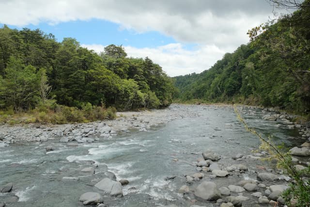 Tongariro River downstream
