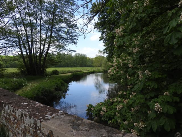 The River Kennet at Leverton near Hungerford, a trout-rich chalk stream reach in late spring.