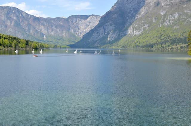 Lake Bohinj on a clear day showing the open lake surface and surrounding alpine landscape.