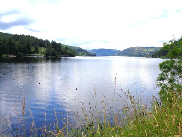 Broad view of Lake Vyrnwy reservoir with calm water, wooded hillsides, and the shoreline stretching into the distance.