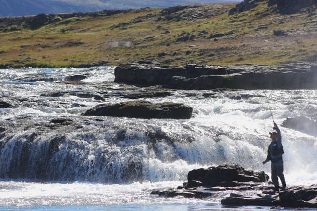 A fly fisher wading a boulder-strewn rapid on the Laxá í Kjós salmon river, Iceland.