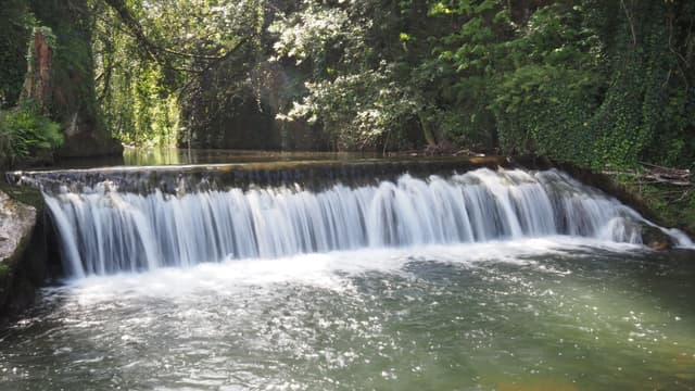 Libardon at La Riera