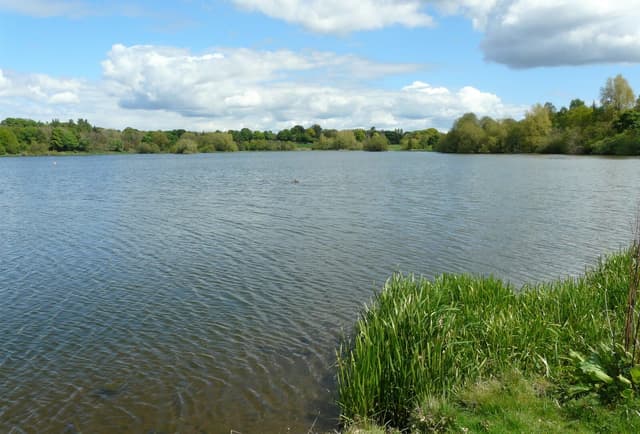 Open expanse of Linlithgow Loch with shoreline vegetation and calm water under a grey Scottish sky.