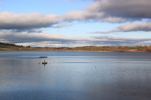 Llandegfedd Reservoir in late December, the open water in winter conditions near Pontypool.