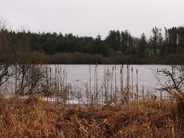 Open water of Cefni Reservoir across the broad flat surface in winter light.
