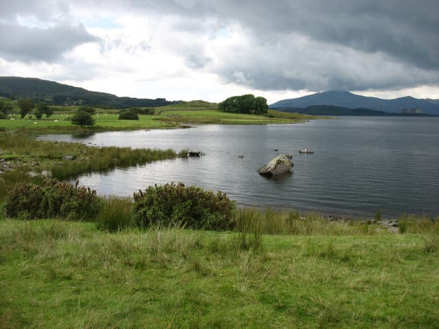 The southern end of Llyn Trawsfynydd, open water, a grassy shoreline and the Rhinogydd hills beyond.