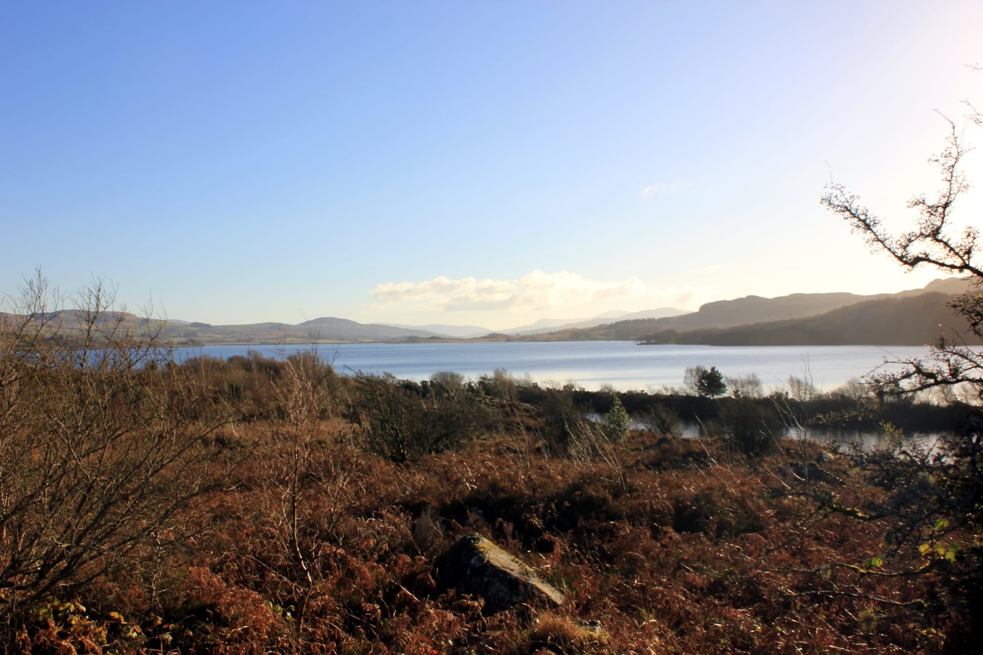 Llyn Trawsfynydd from the shore, open water filling the foreground with moorland hills beyond.