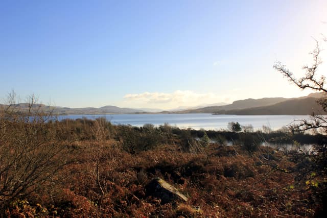 Llyn Trawsfynydd from the shore, open water filling the foreground with moorland hills beyond.