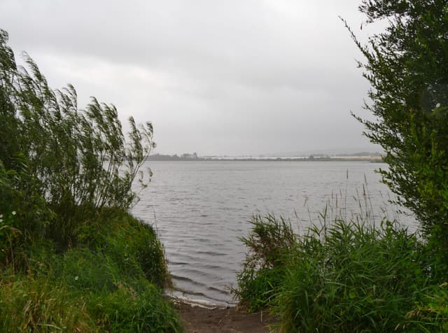 Shoreline of Loch Leven at Kinross on a summer day, open loch water extending to a low far shore.