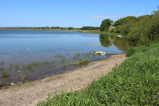 The eastern shoreline of Loch Watten, Caithness, with woodland fringing the water's edge.