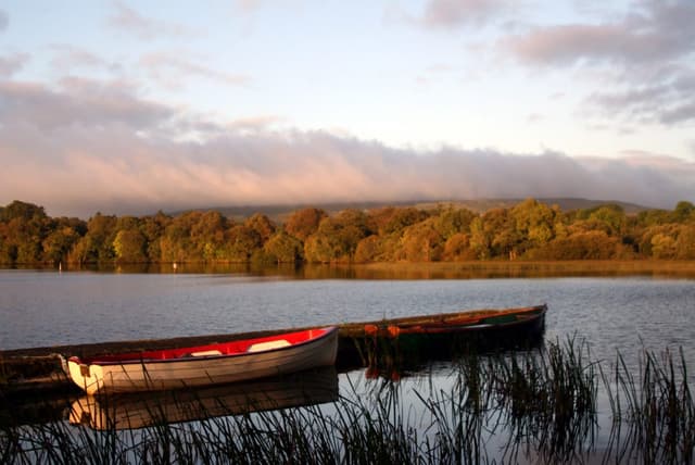 Fishing boats moored on Lough Arrow in golden morning light.