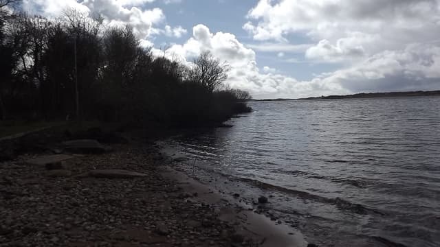 The shoreline of Lough Beltra, County Mayo, open lough water.