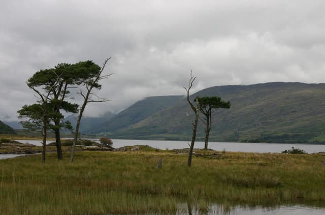 Open expanse of Lough Corrib from the eastern shore.