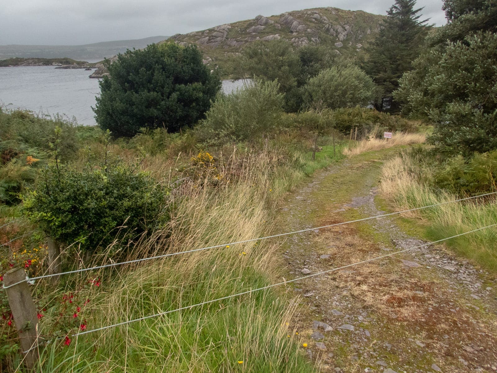 A rocky inlet on Lough Currane, open lough water and shoreline rocks.