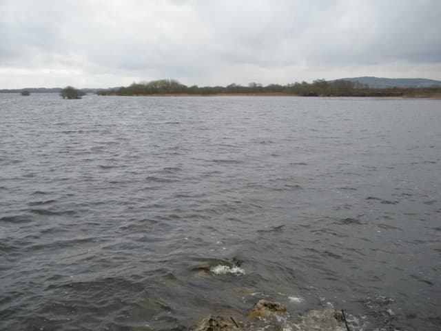 View across Lough Sheelin towards the Derrysheridan shoreline, broad open water with the far shore.